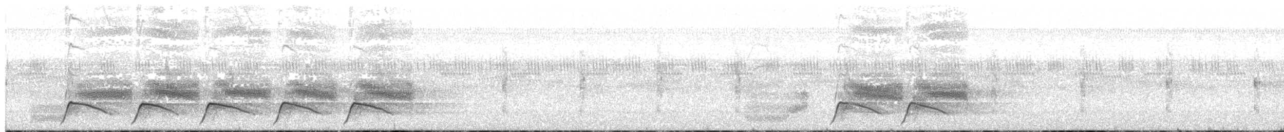 Black-capped Donacobius - ML643958624