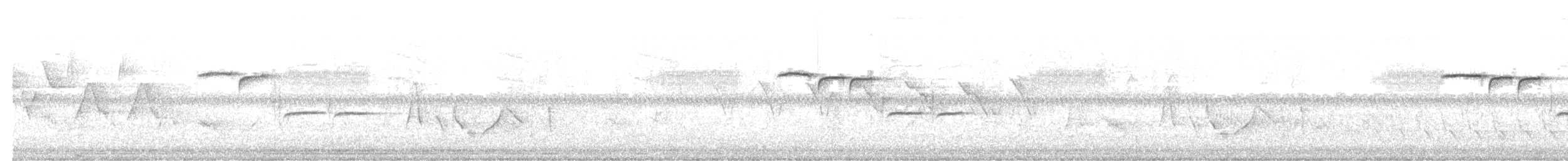 Carolina Chickadee - ML643958803