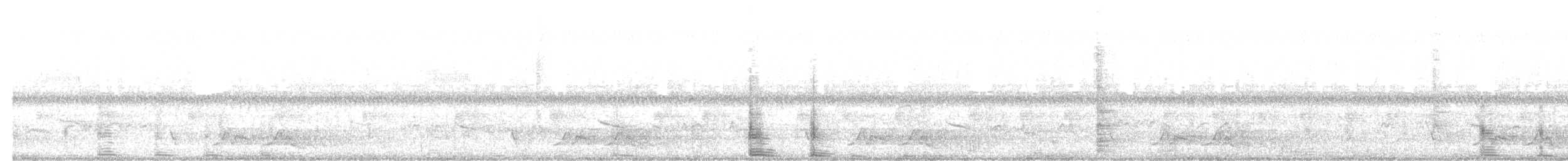 チャックウィルヨタカ - ML643959024