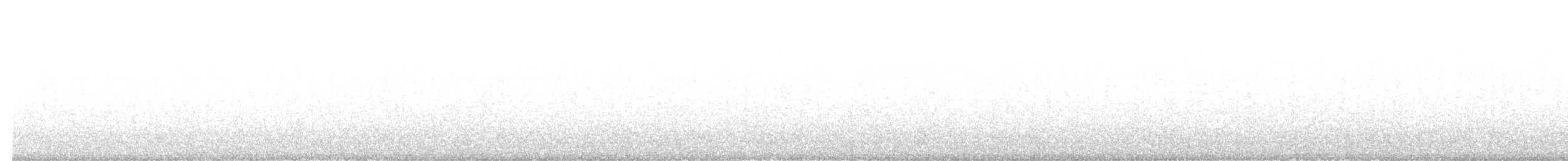 Carolina Wren - ML643960320