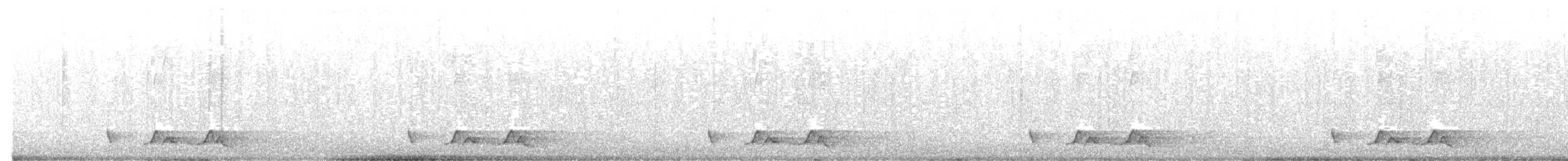 チャックウィルヨタカ - ML643960872