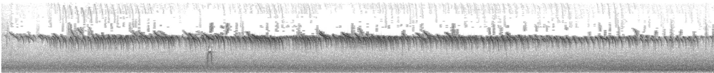 Buschschwanzmeise - ML643961374