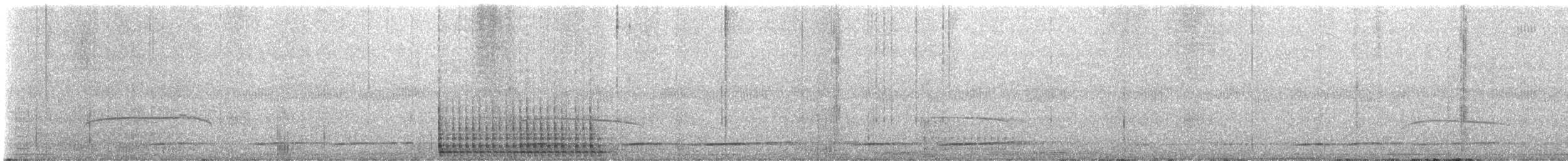 Pale-crested Woodpecker - ML643962083