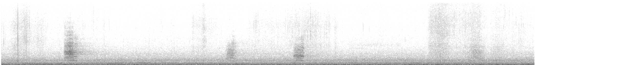 Koartza hauskara amerikarra - ML643964469