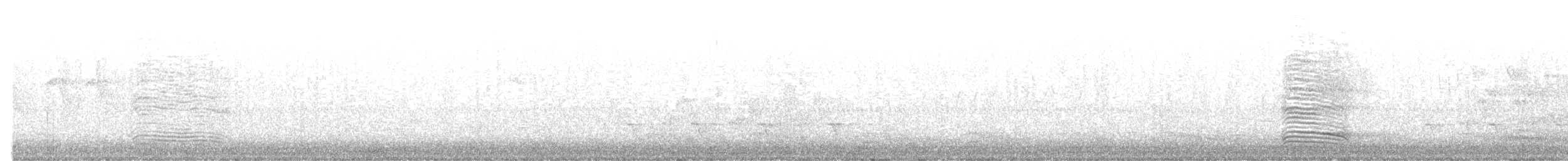 Corneille d'Amérique - ML643967334