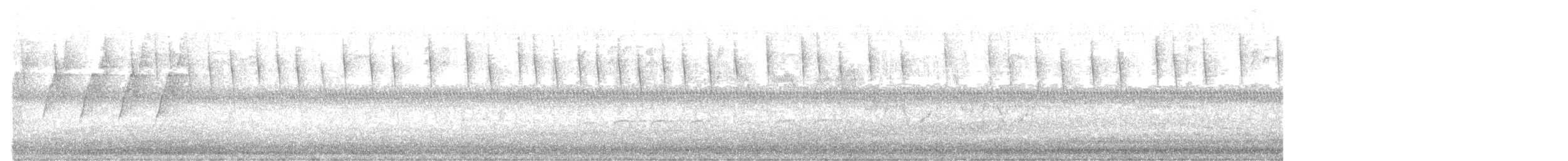 stryparula - ML643967374