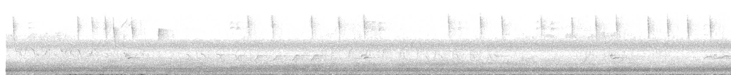 stryparula - ML643967375
