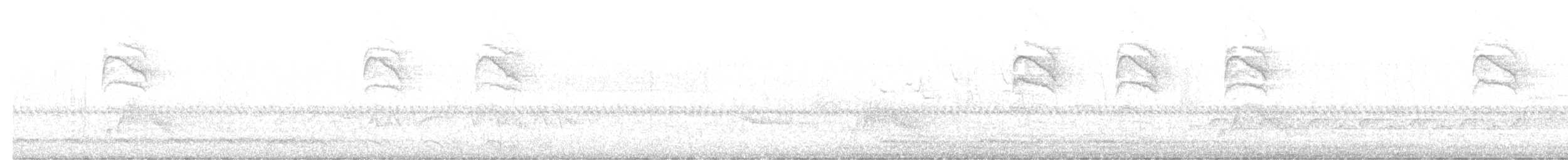 シロクロアメリカムシクイ - ML643967460
