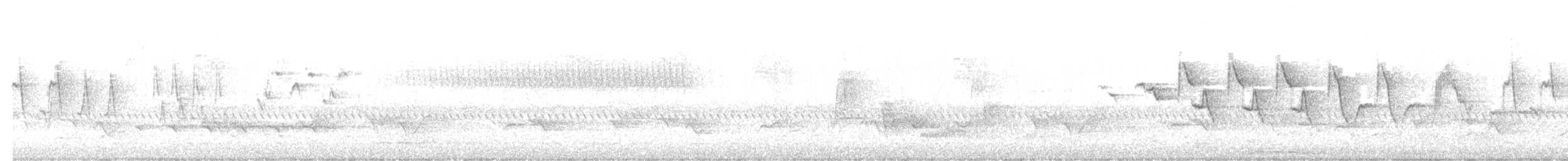 フタスジアメリカムシクイ - ML643967474