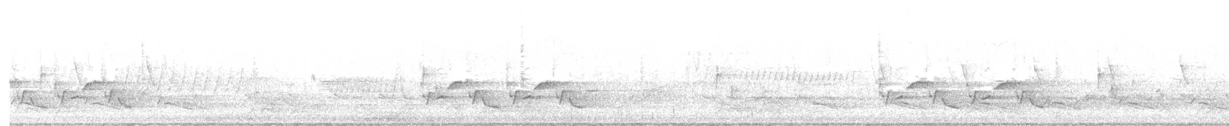 チャックウィルヨタカ - ML643967482