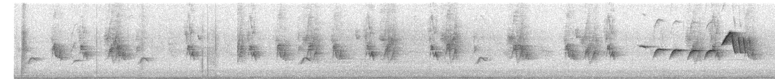 Bruant chingolo - ML643967670