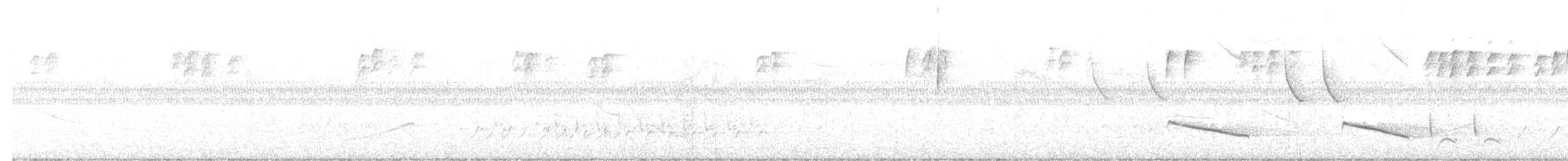 ショウジョウコウカンチョウ - ML643968359