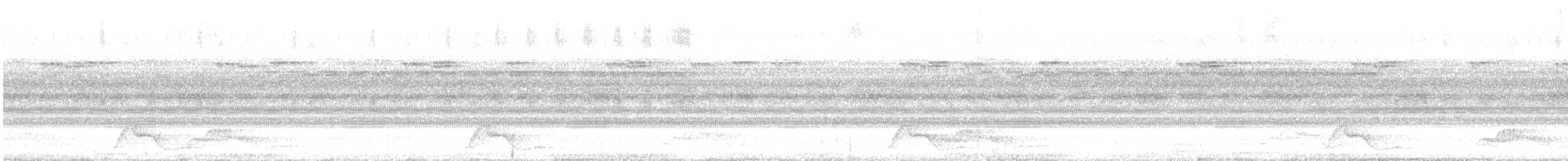 Common Pauraque - ML643968546