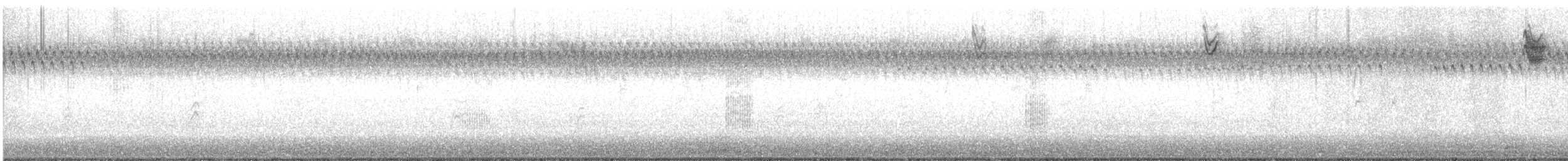 Sedge Wren - ML643968754