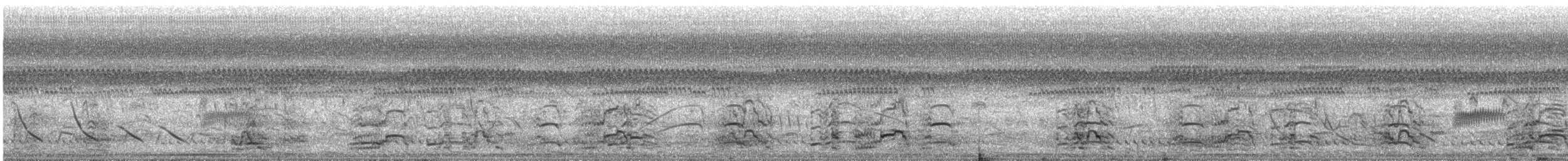 Southern Screamer - ML643969093