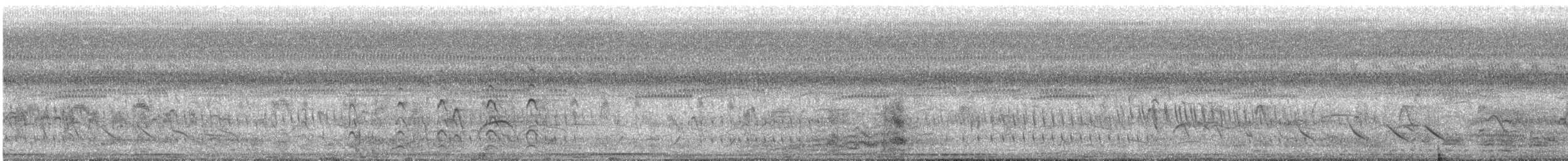 Speckled Chachalaca - ML643969161