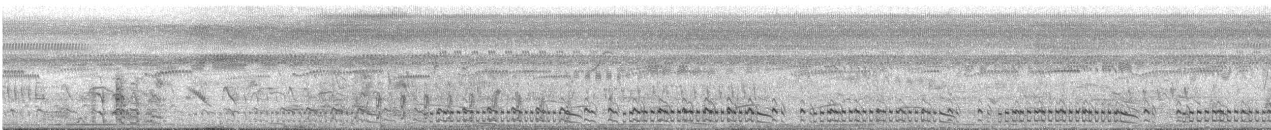 Ash-throated Crake - ML643969221