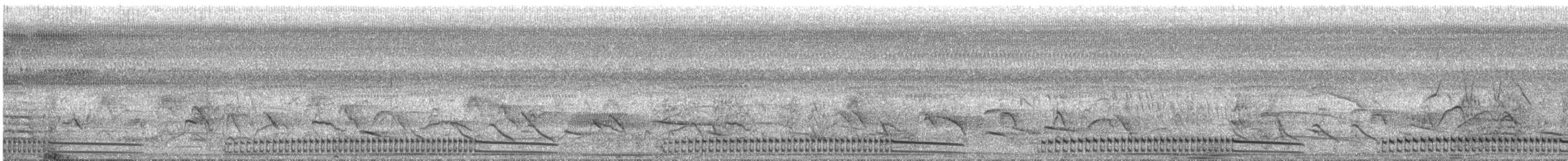 Ash-throated Crake - ML643969222