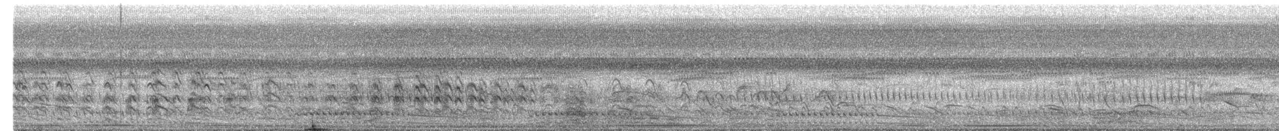 Ash-throated Crake - ML643969223