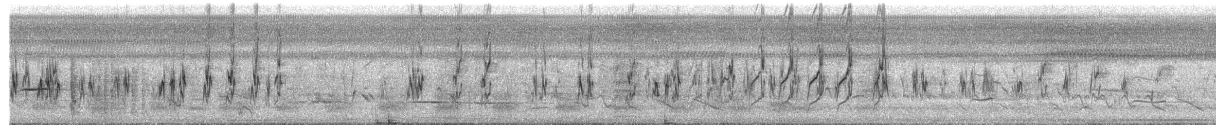 Cobalt-rumped Parrotlet - ML643969304