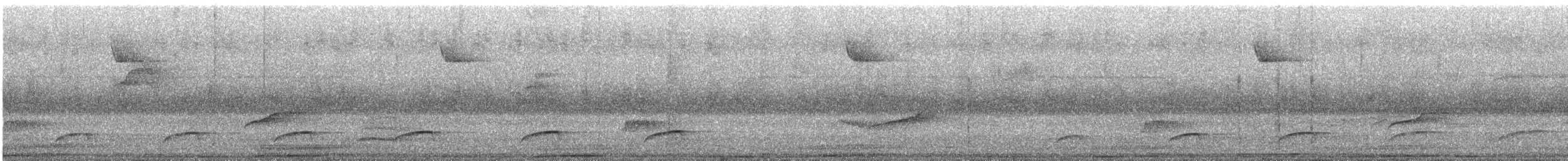 Dull-capped Attila - ML643969418