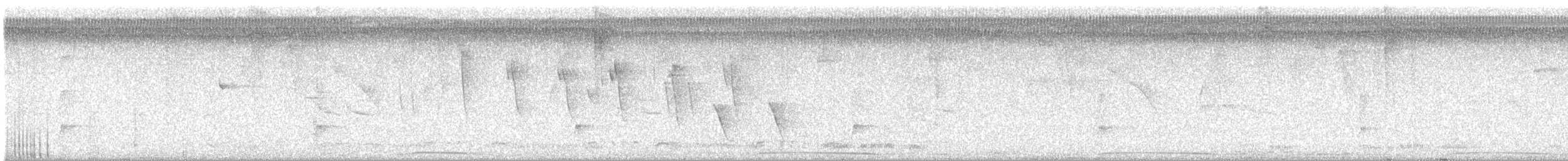 Pale-vented Pigeon - ML643969898