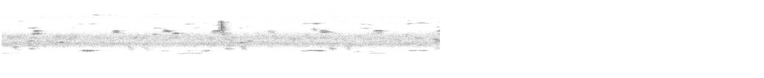 Chingolo Sabanero - ML643969941