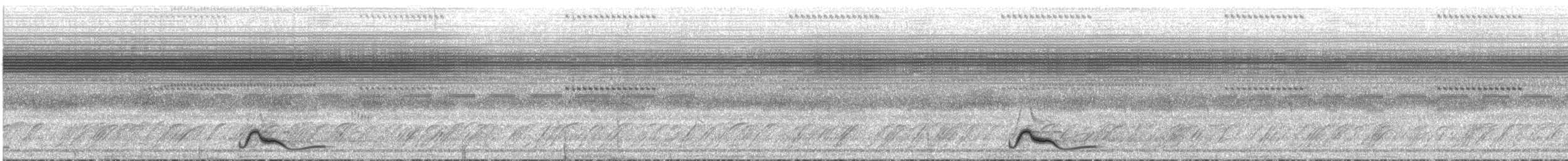 オオヨタカ - ML643970426