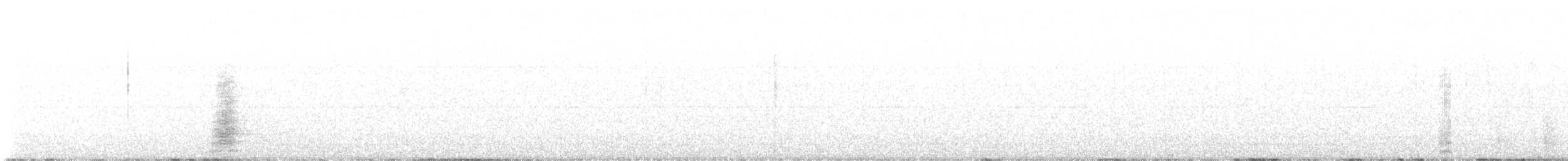 Koartza hauskara amerikarra - ML643970455