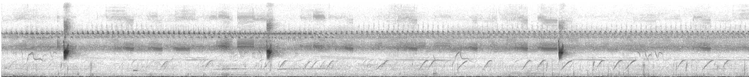 マミジロマネシツグミ - ML643970600