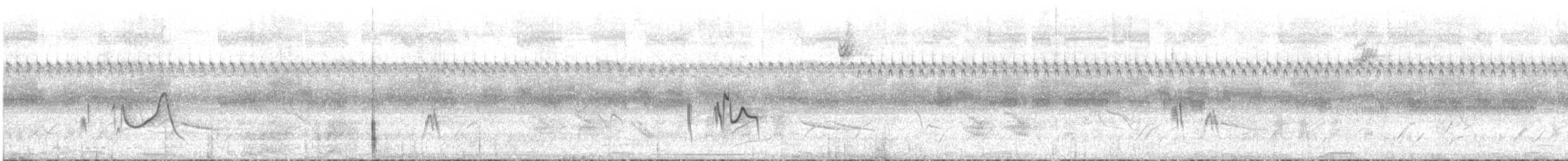 Wedge-tailed Grass-Finch - ML643970670