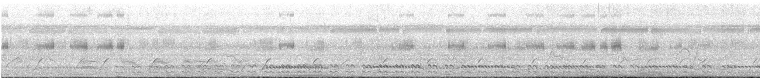 Ash-throated Crake - ML643970754