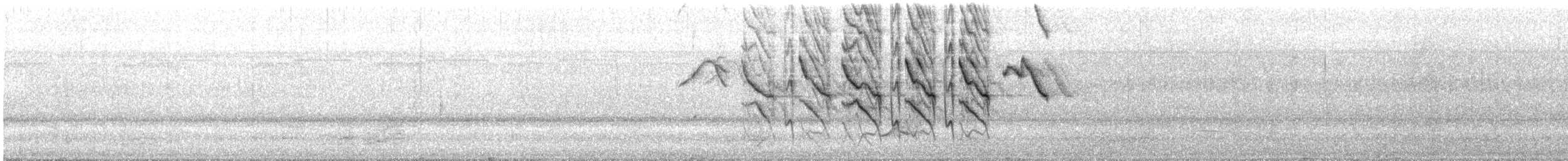 ハイガシラソライロフウキンチョウ - ML643971070