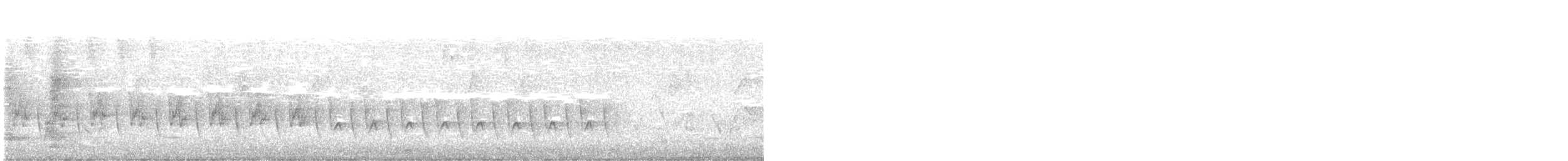 White-winged Triller - ML643971113