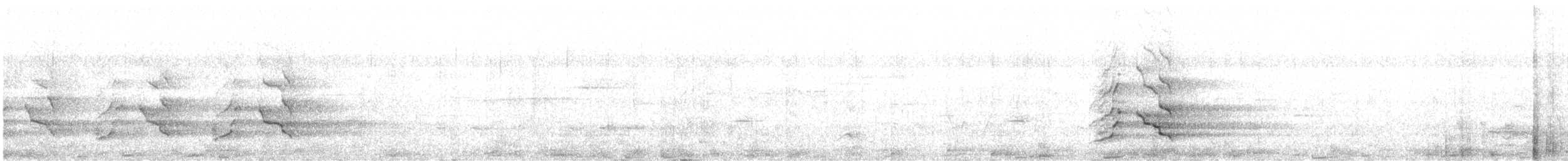 Cacatoès de Baudin - ML643972290