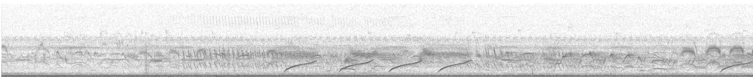 Black-capped Donacobius - ML643972848