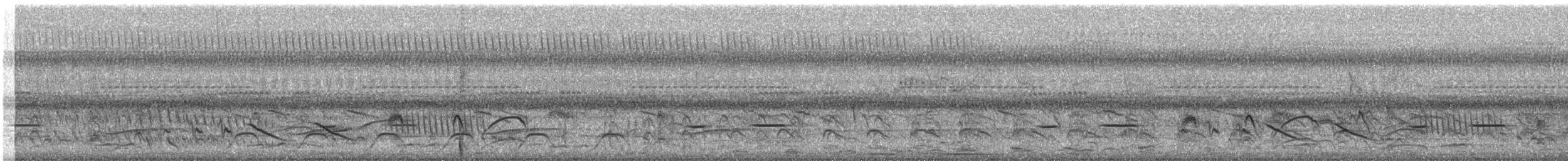 Black-capped Donacobius - ML643972849