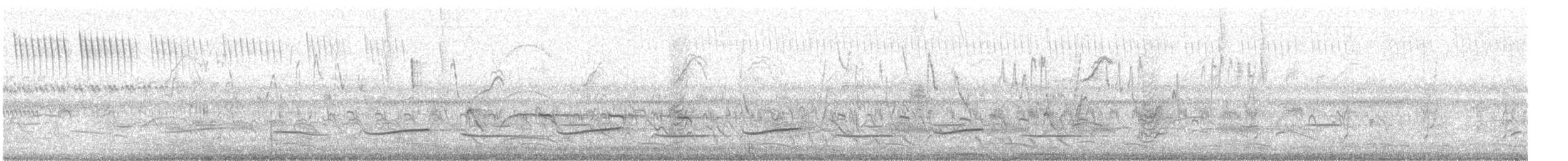 Orange-backed Troupial - ML643972905
