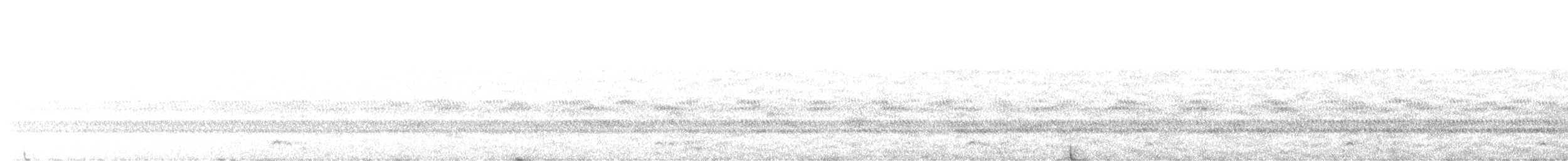 Western Screech-Owl - ML643973375