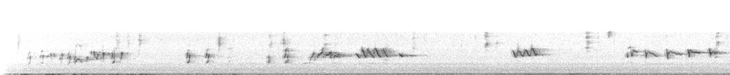 Northern Mockingbird - ML643973396