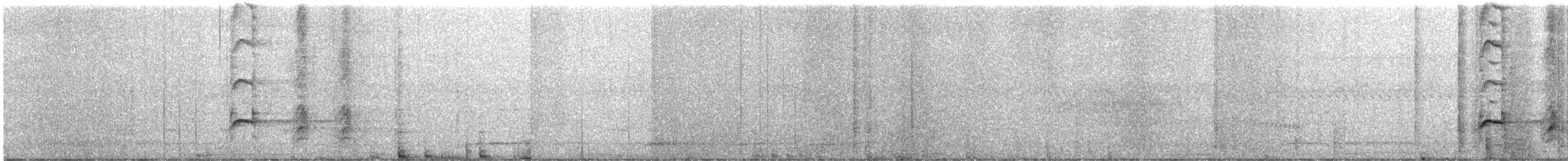 Pale-crested Woodpecker - ML643973601