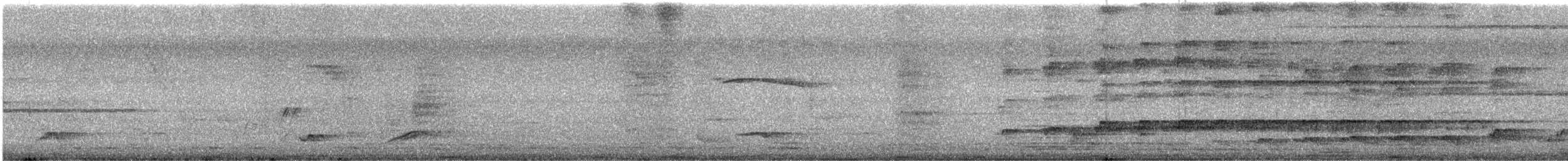 オニカッコウ - ML643974119