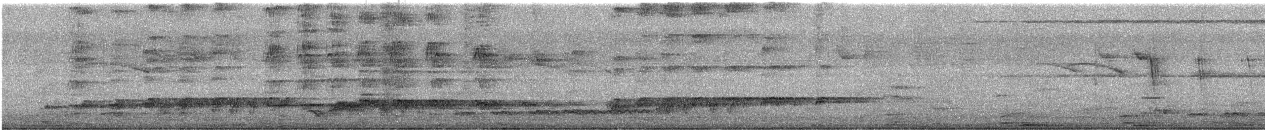 オニカッコウ - ML643974137