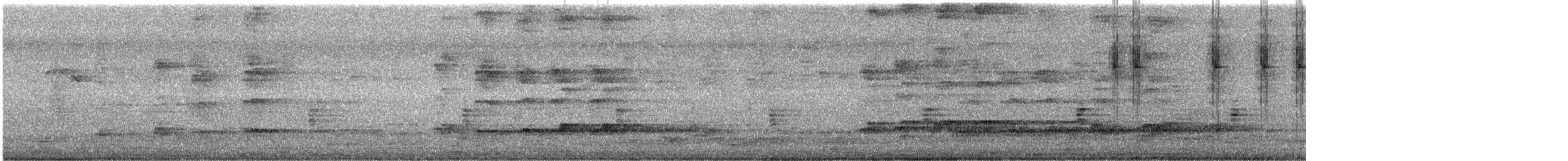 オニカッコウ - ML643974166