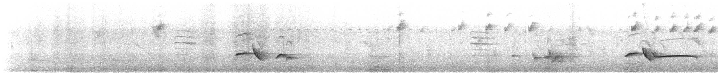 White-browed Scrub-Robin - ML643974189