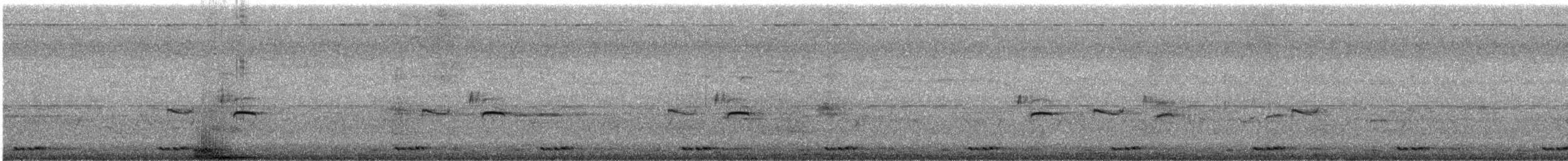 Brown-headed Barbet - ML643974193