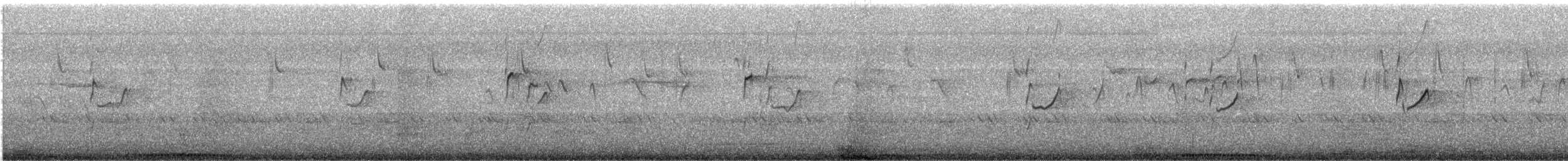 Piro piro culbianco - ML643974207