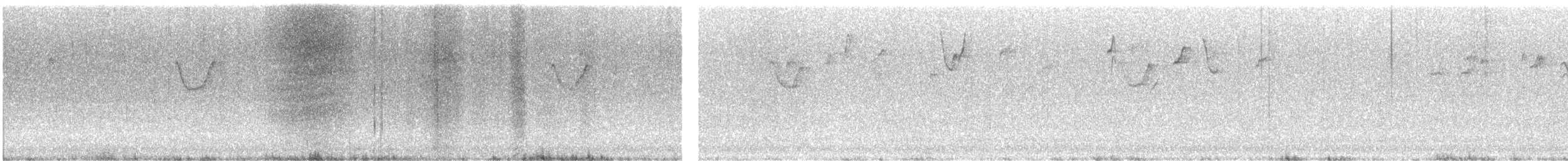 Coal Tit - ML643974347