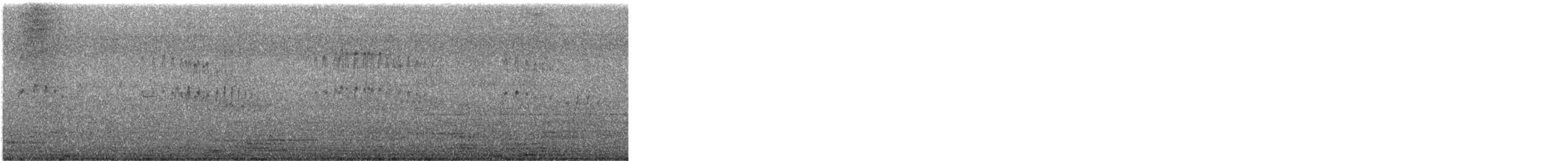 Rondone indiano - ML643974389