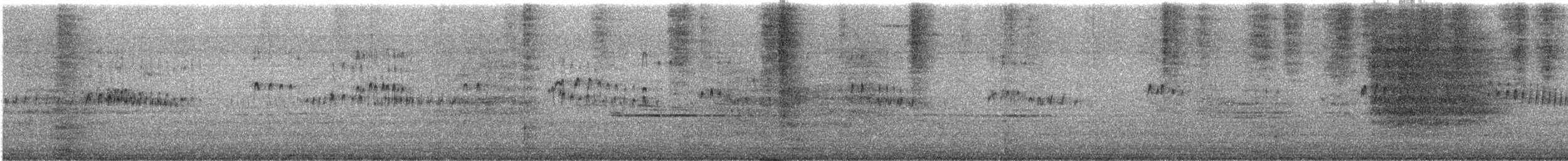 Rondone indiano - ML643974390